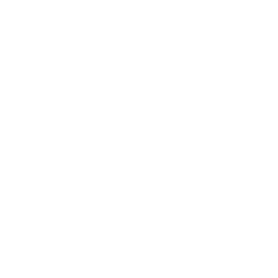 The Point